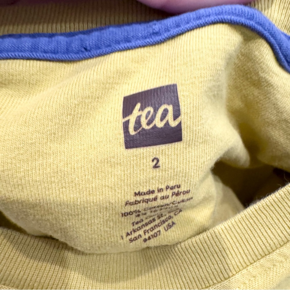 Tea Collection Cat & Jack Toddler Boy 2T Shirt Bundle Lot Spring Cotton TRex‎ - Picture 3 of 8